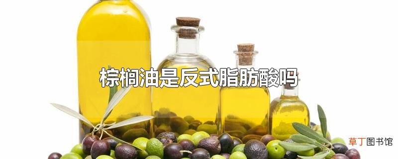 棕榈油是反式脂肪酸吗