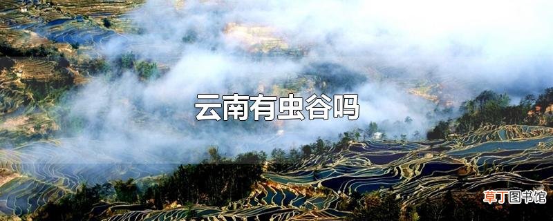 云南有虫谷吗