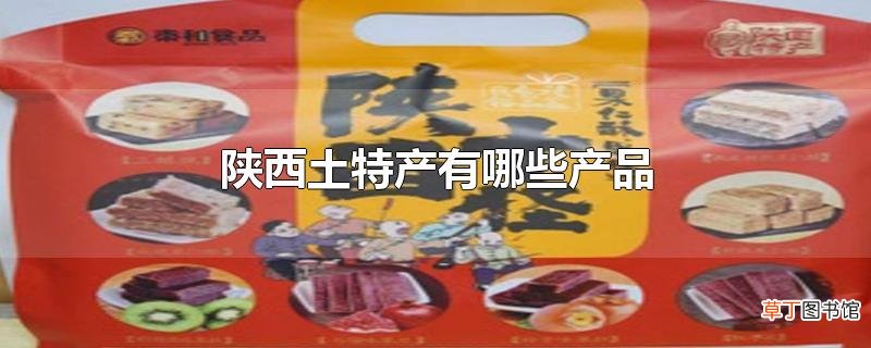 陕西土特产有哪些产品