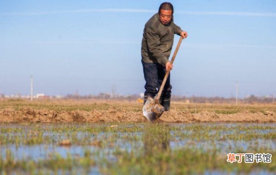 2021年60岁老人可以领多少钱 2021年满60岁老人国家补贴