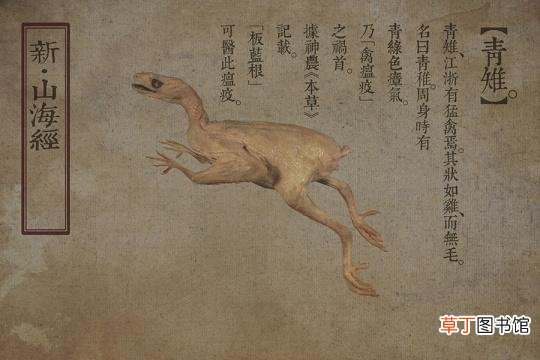 山海经细思极恐的细节 为什么不能看山海经