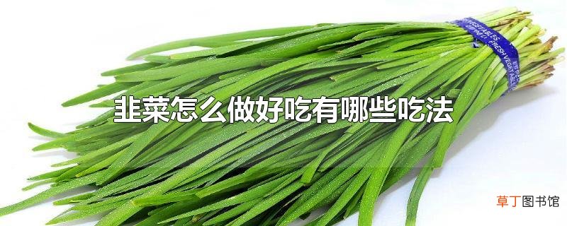 韭菜怎么做好吃有哪些吃法
