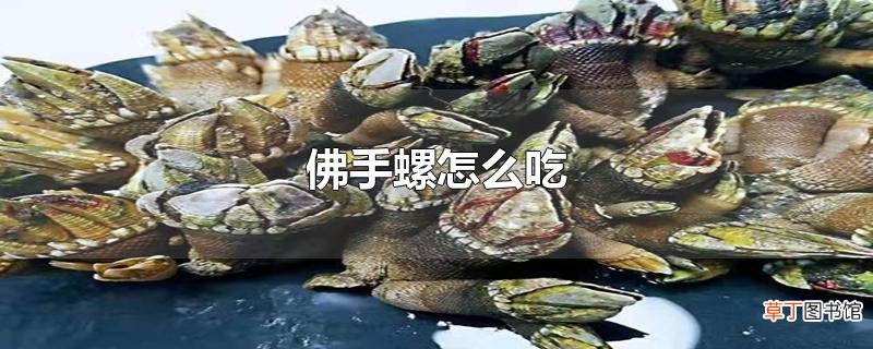 佛手螺怎么吃