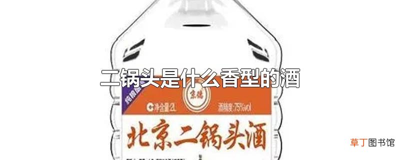 二锅头是什么香型的酒