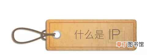 ip是什么意思?如何打造个人IP带动私域流量