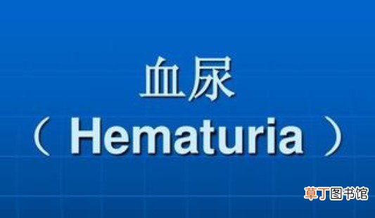 血尿的危害，你一定不能忽视-血尿的危害有哪些