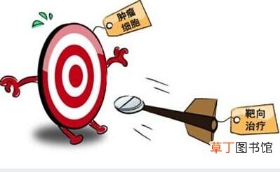 靶向治疗一年的费用-靶向治疗一年需要多少费用