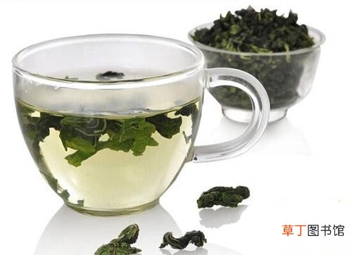桑叶茶的功效与作用-桑叶泡水喝有什么功效