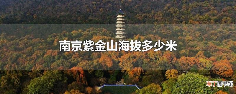 南京紫金山海拔多少米