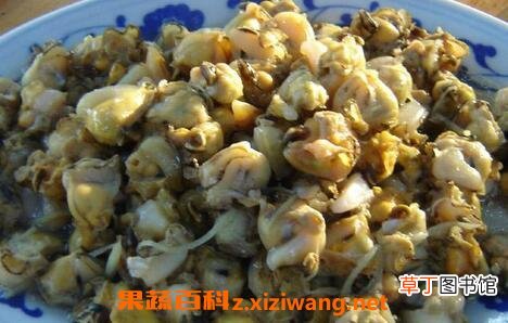 珍珠螺肉的营养价值 吃珍珠螺肉的好处