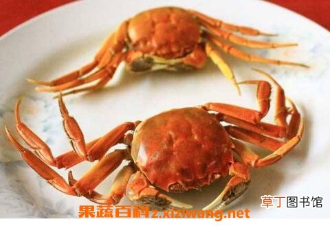 螃蟹不能和什么一起吃 螃蟹和什么相克