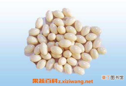 胶原蛋白的功效与作用