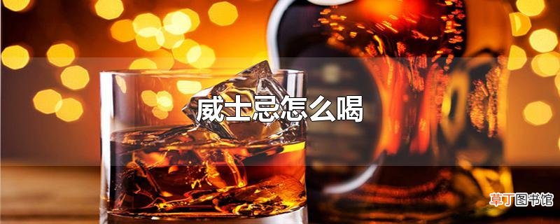 威士忌怎么喝