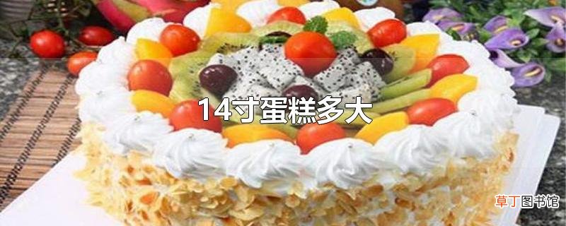 14寸蛋糕多大