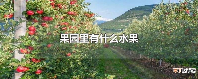 果园里有什么水果