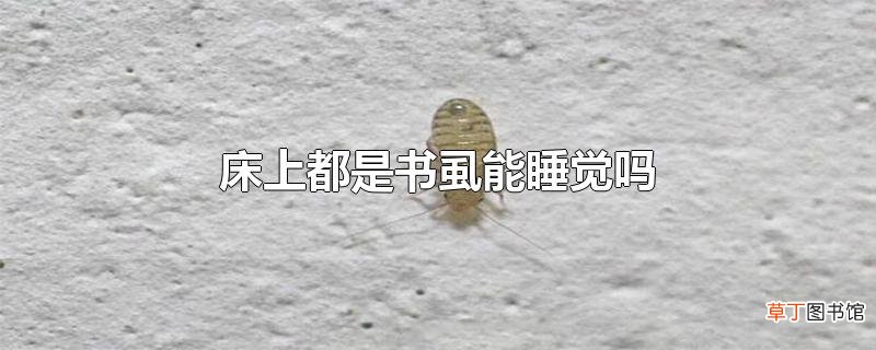 床上都是书虱能睡觉吗