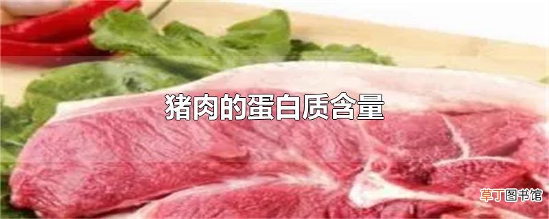 猪肉的蛋白质含量