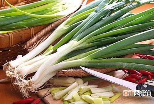 夏季养生要祛湿,教你这几个常用招式效果好