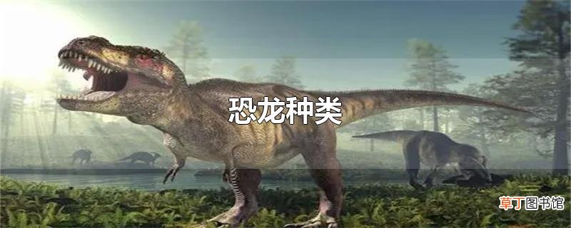 恐龙种类