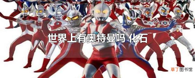世界上有奥特曼吗 化石