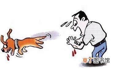 狂犬病，你知道多少？-狂犬病科普知识