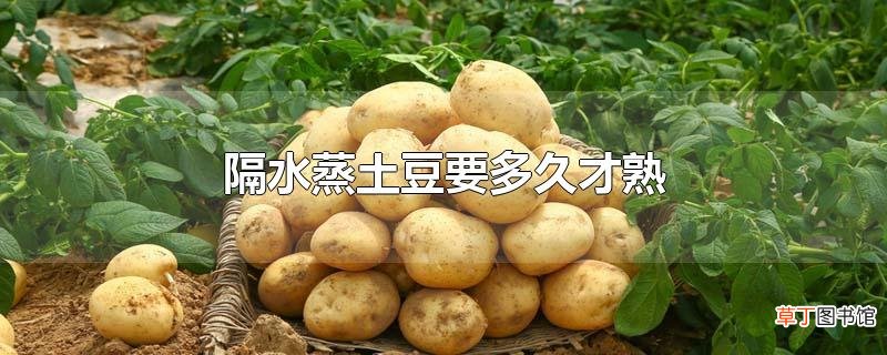 隔水蒸土豆要多久才熟