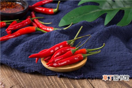 为什么吃瓜子会口腔溃疡