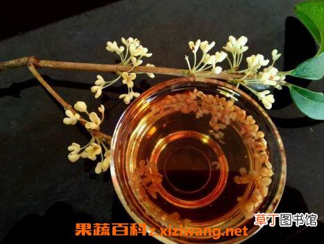 桂花酒的功效与作用 桂花酒的制作方法