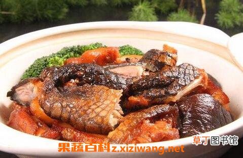 孕妇可以吃鳄鱼肉吗 吃鳄鱼肉的功效