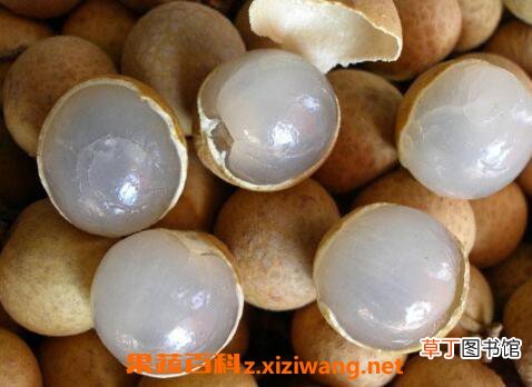 养胃的食物有哪些 养胃的蔬菜和水果介绍
