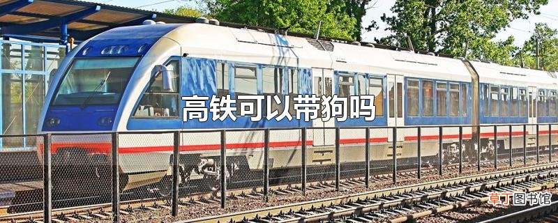 高铁可以带狗吗