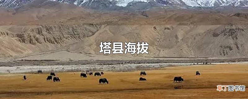 塔县海拔