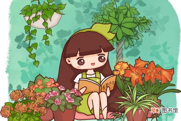 1块钱买盆花，养1年，给1000都不卖！