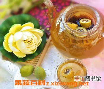 怎样用麦冬泡水喝最好 麦冬泡水喝的功效