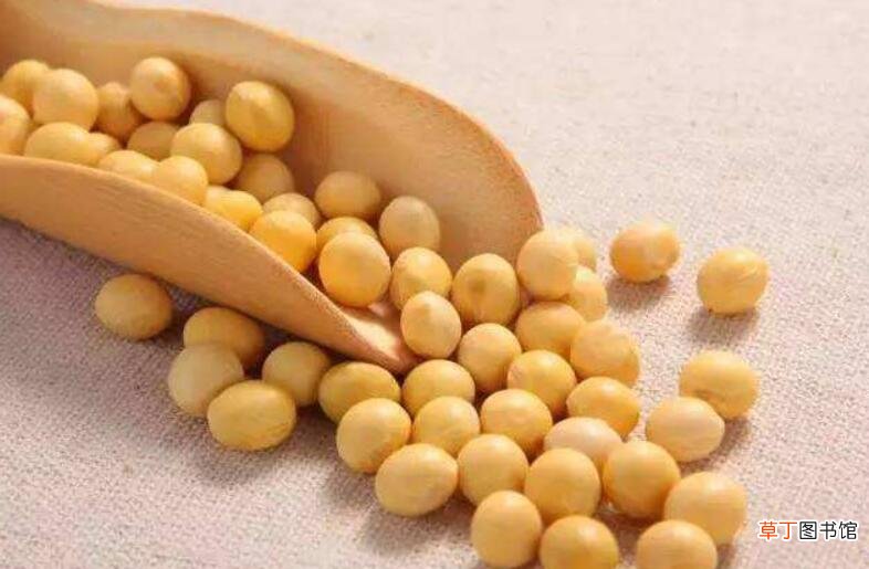 豆渣敷脸有什么危害