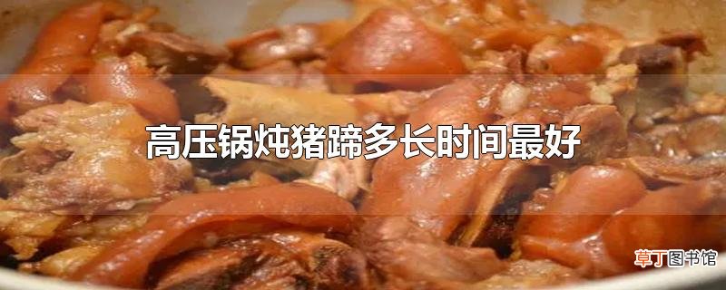 高压锅炖猪蹄多长时间最好