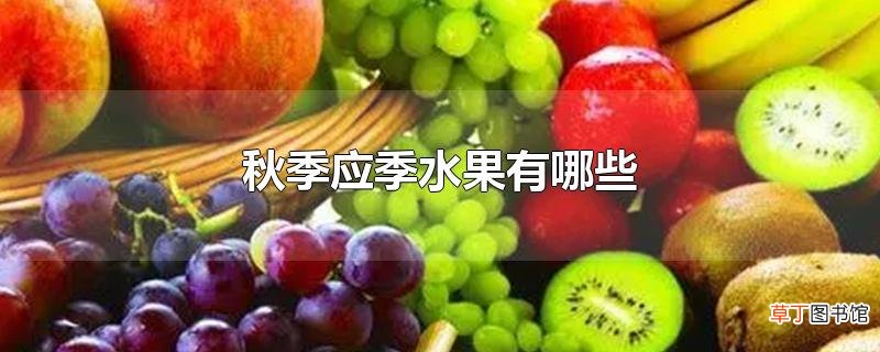 秋季应季水果有哪些