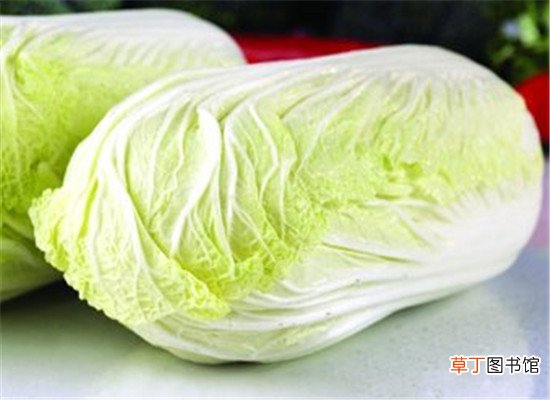 夏天能减肥的几类蔬菜,去火气瘦身强身