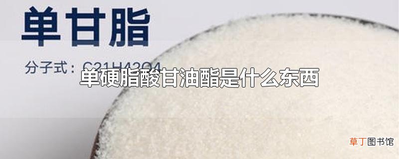 单硬脂酸甘油酯是什么东西