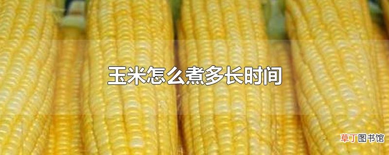 玉米怎么煮多长时间