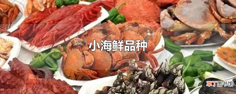 小海鲜品种