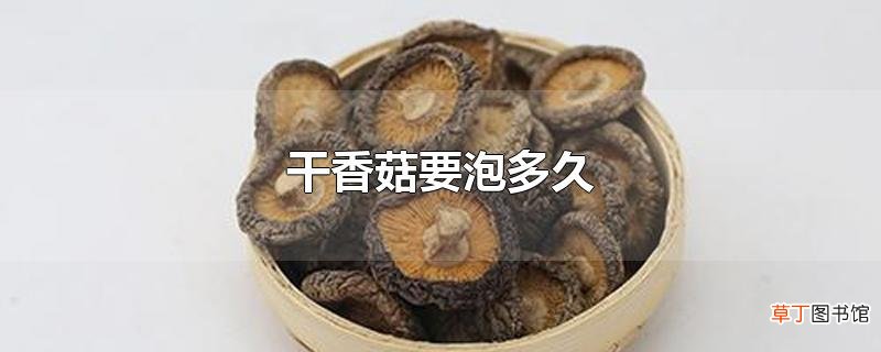 干香菇要泡多久