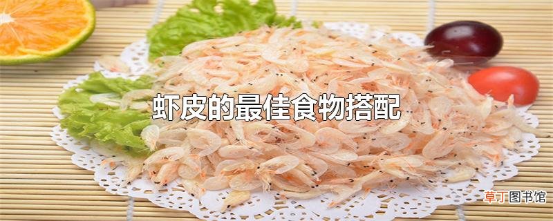 虾皮的最佳食物搭配