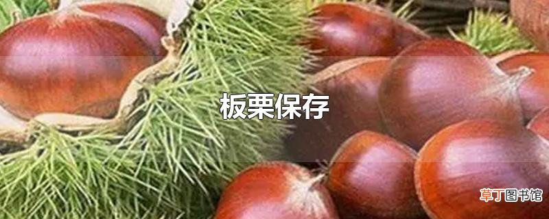 板栗保存
