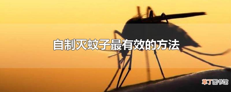 自制灭蚊子最有效的方法