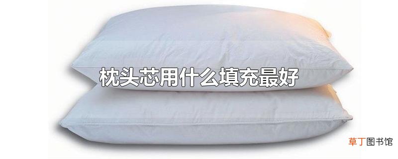 枕头芯用什么填充最好