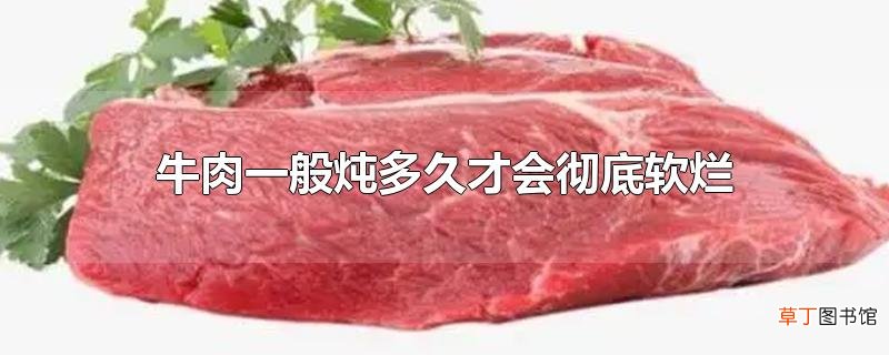 牛肉一般炖多久才会彻底软烂