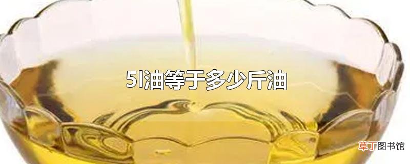 5l油等于多少斤油