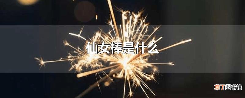 仙女棒是什么