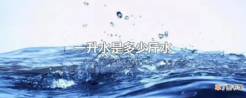 一升水是多少斤水
